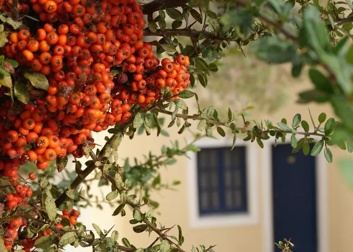 アパートホテル Pannonia ヘルソニソス