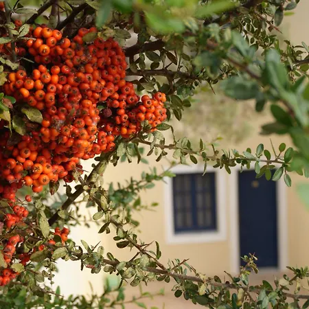 Aparthotel Pannonia Hersonissos (Crete)